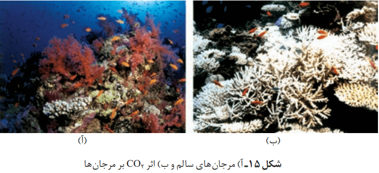 مرجان های سالم و اثر کربن دی اکسید بر آنها