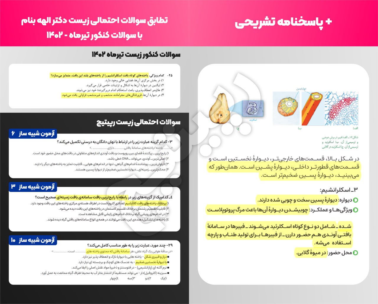 photo_5_2023-10-29_18-11-42