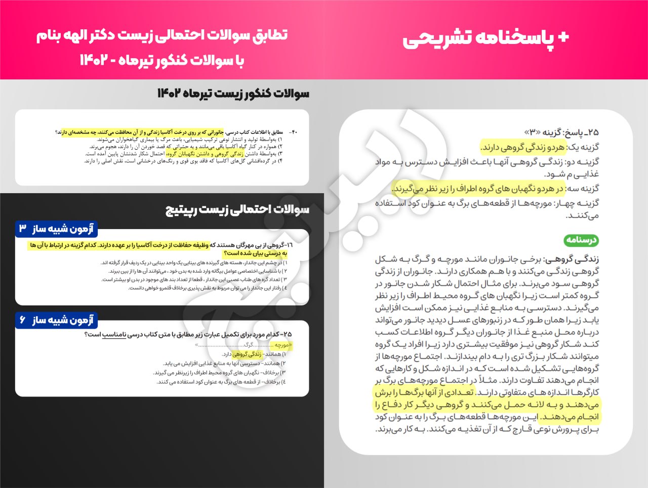 photo_7_2023-10-29_18-12-13