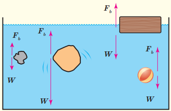 نیروی شناوری و نیروی وزن وارد بر چند جسم